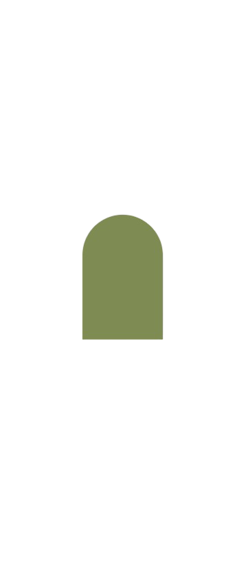 icon_shape